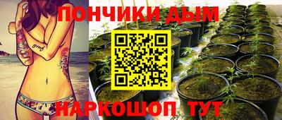 гашик Бузулук