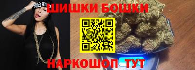 крисы Будённовск