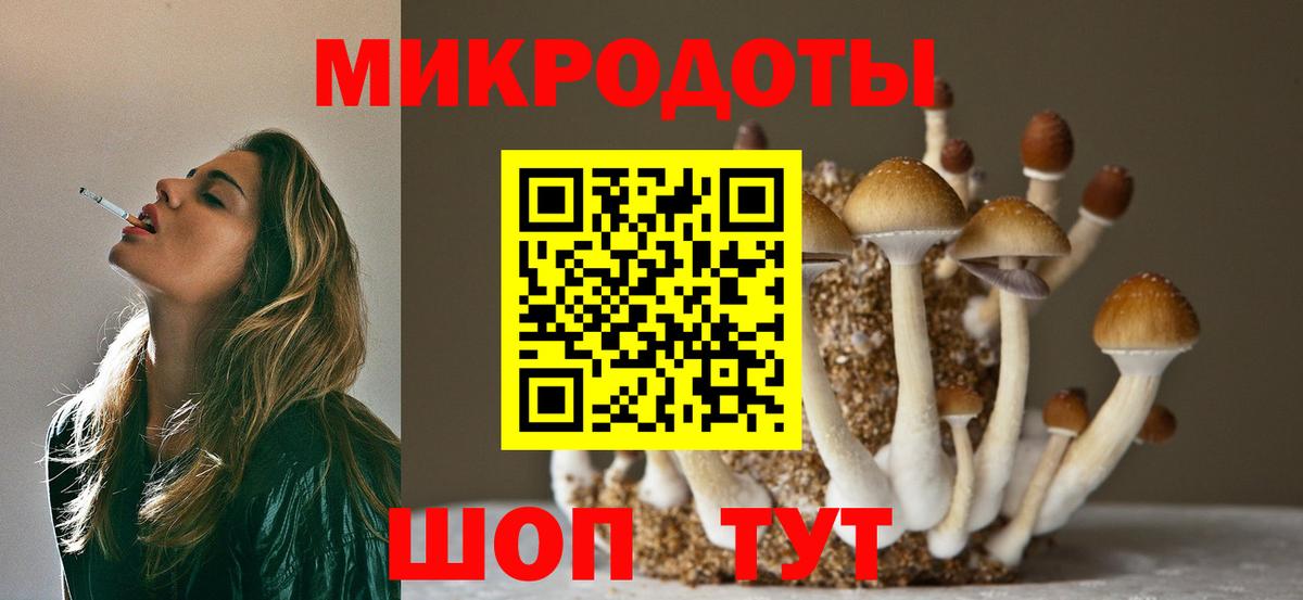 Псилоцибиновые грибы прущие грибы  Вход с VPN  Галлюциногенные грибы мухоморы  Саратов 